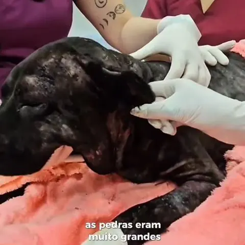 imagem emergência
