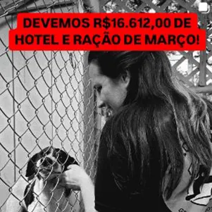 imagem-animais-07